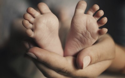 Surrogacy