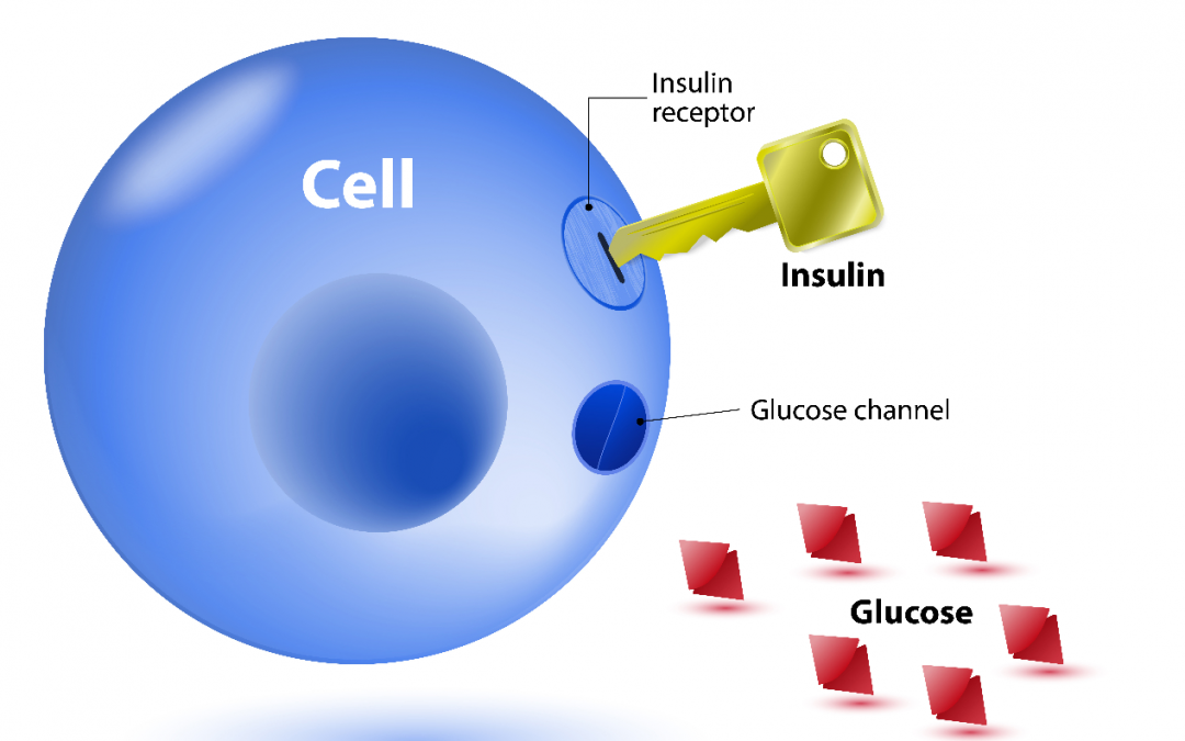 Stem Cell Therapy in Diabetes Mellitus